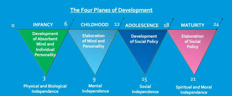 Planes of Development.png